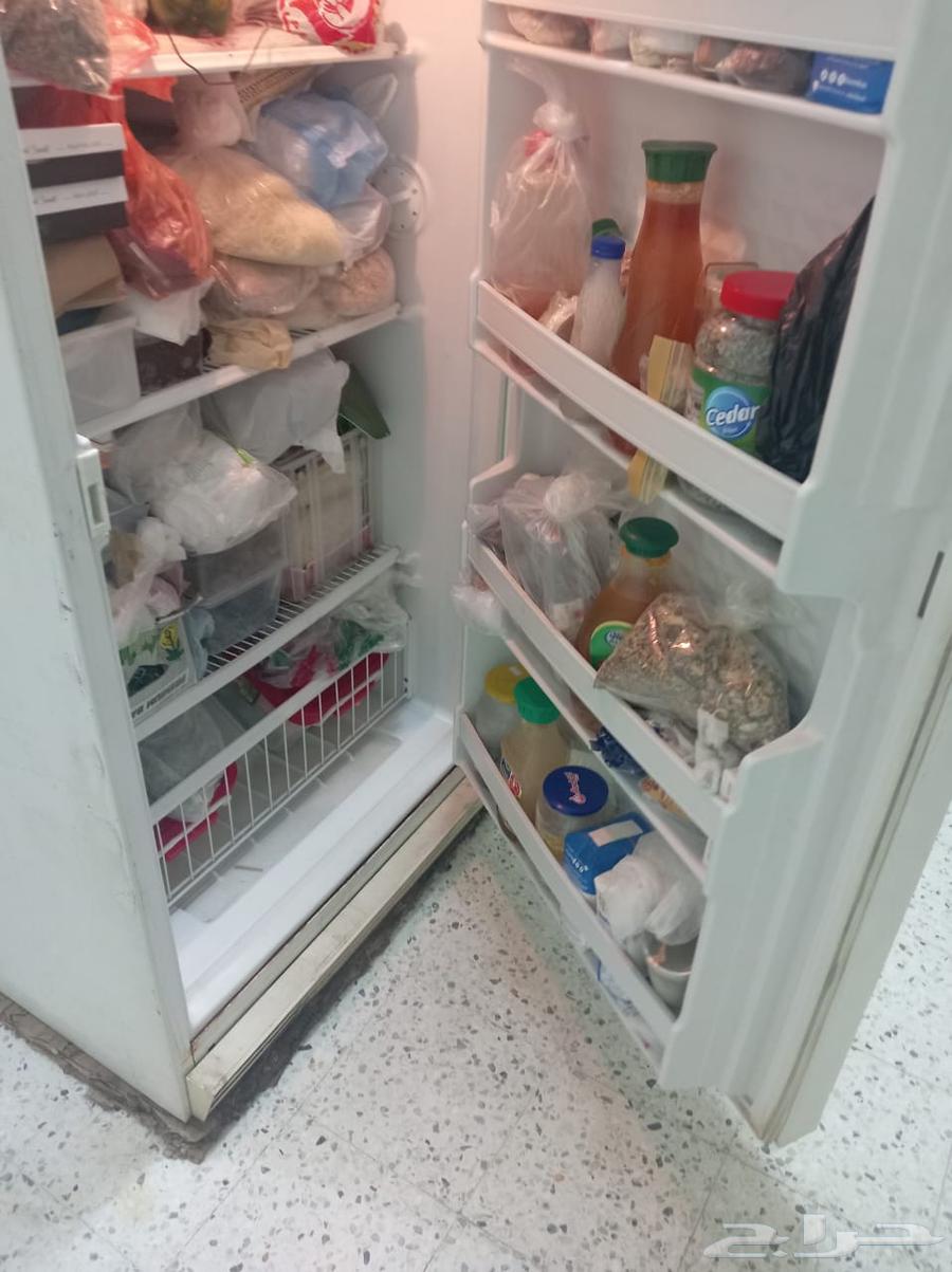 فريزر و جهاز رياضه63676292354946110