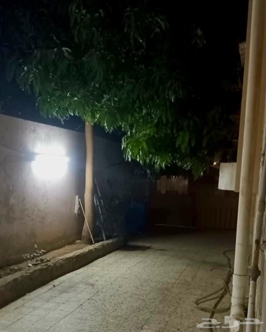 هذه فيلا فرصةذهبية لا تفوت فيلابحي النخيل63328996627587114