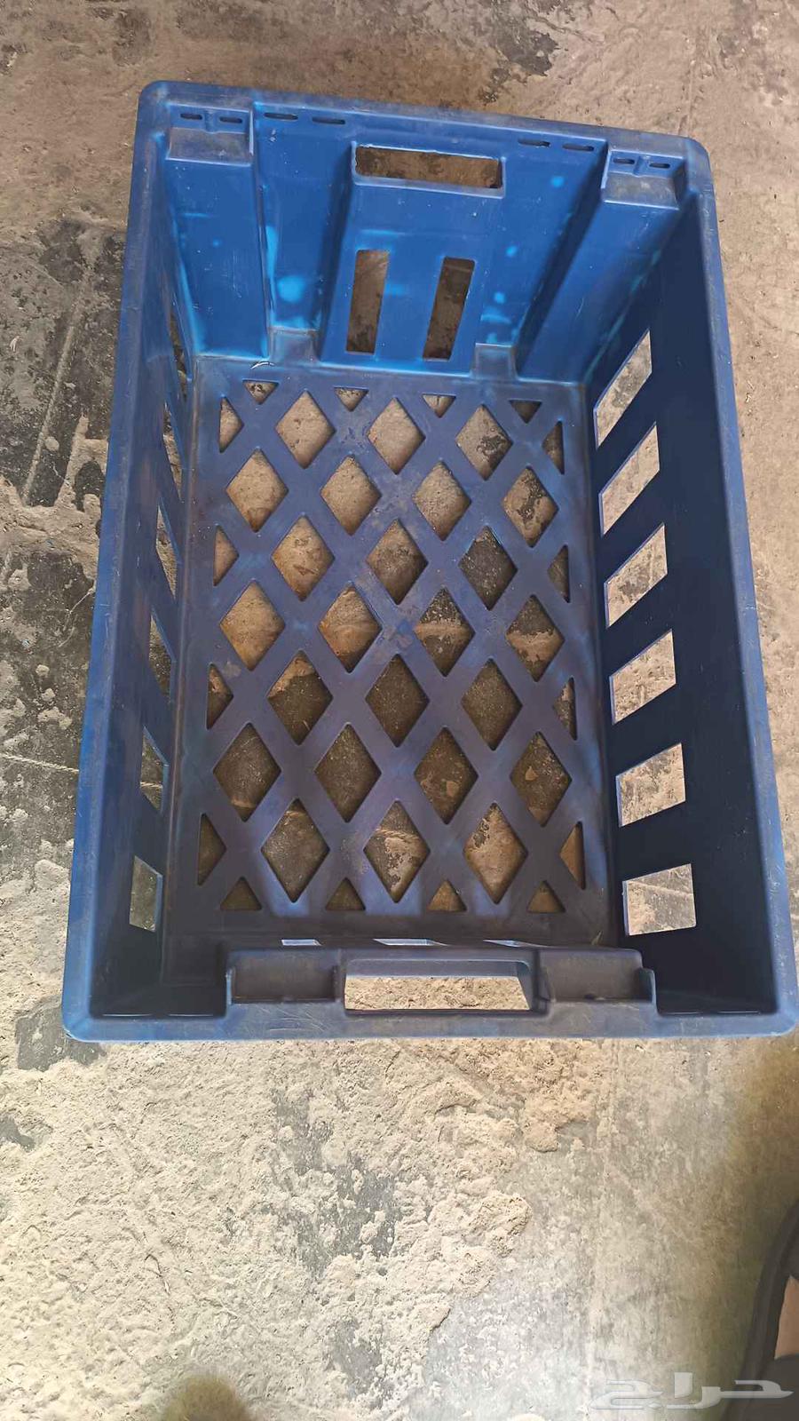 Different types of various shapes of boxes, cages, and baskets for chickens and dates63328037911681111