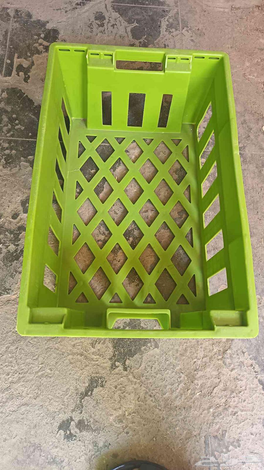 Different types of various shapes of boxes, cages, and baskets for chickens and dates63328037911681110