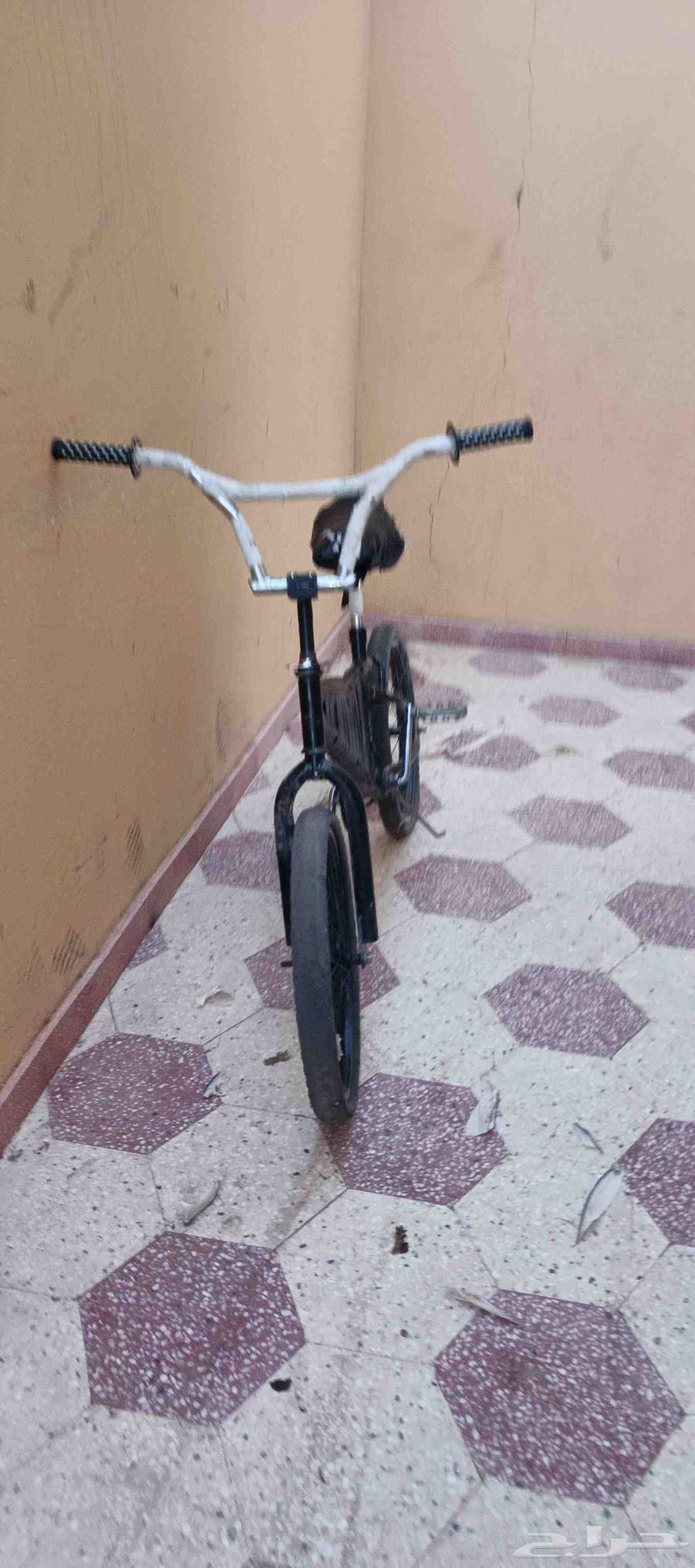 Black Cobra bicycle size 20633271411260191118