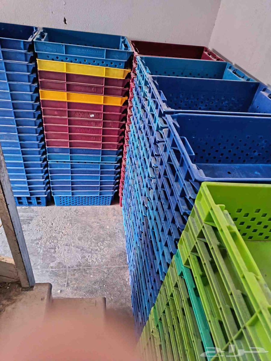 Different types of various shapes of boxes, cages, and baskets for chickens and dates63328037911681114