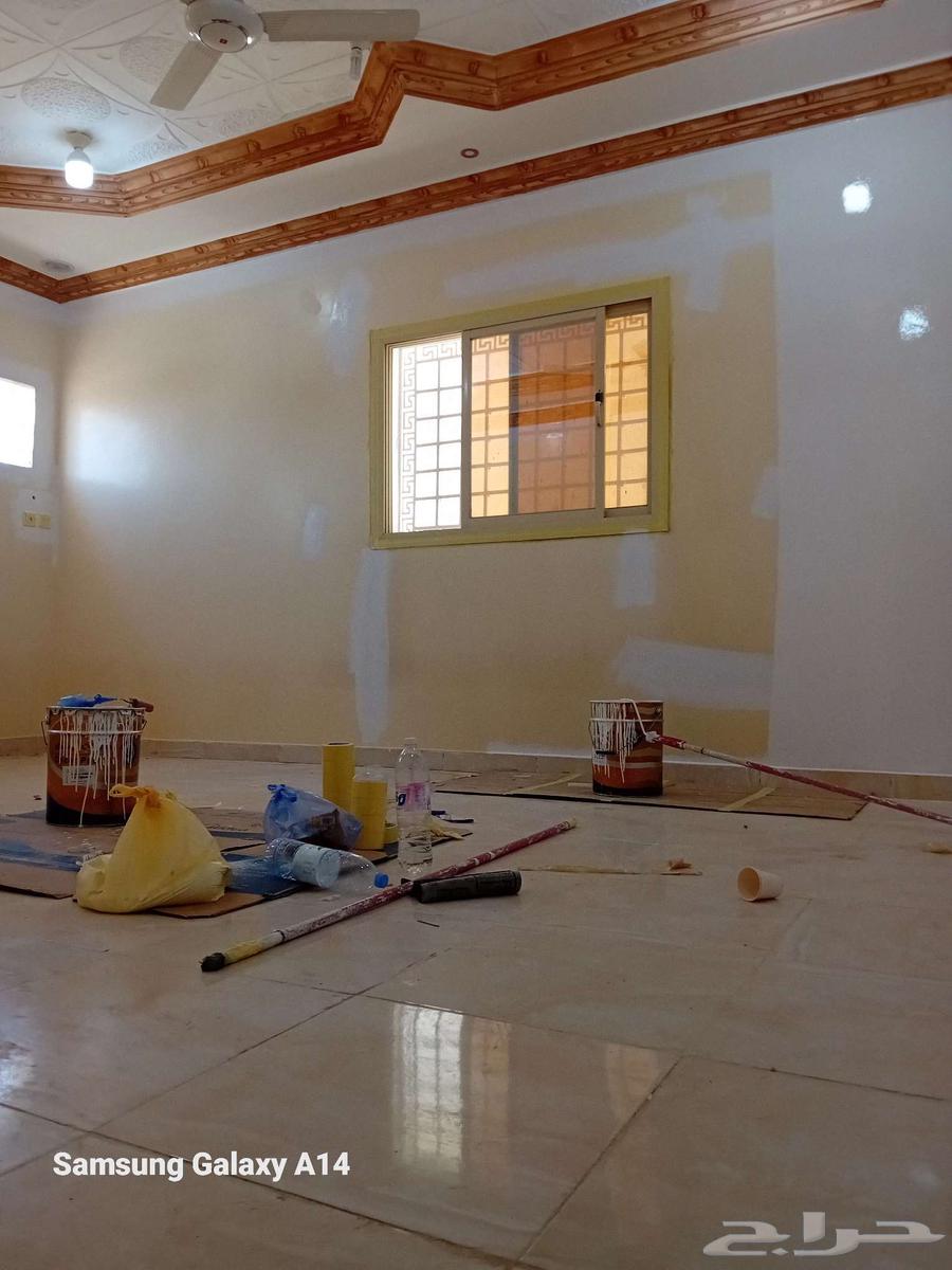دهانات شروره63005069682306114