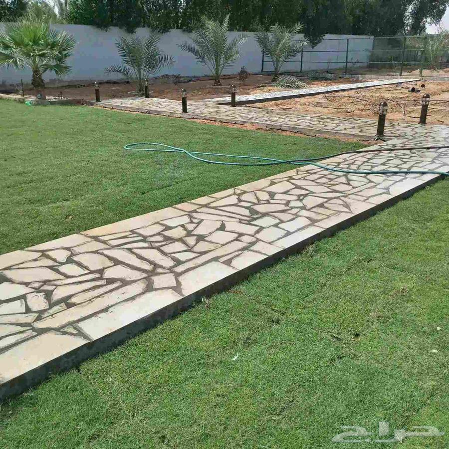 تركيب الحجر العشويي الممرات63005070016003114