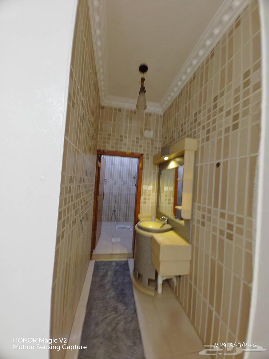 A furnished apartment for rent with a view62995655495298113