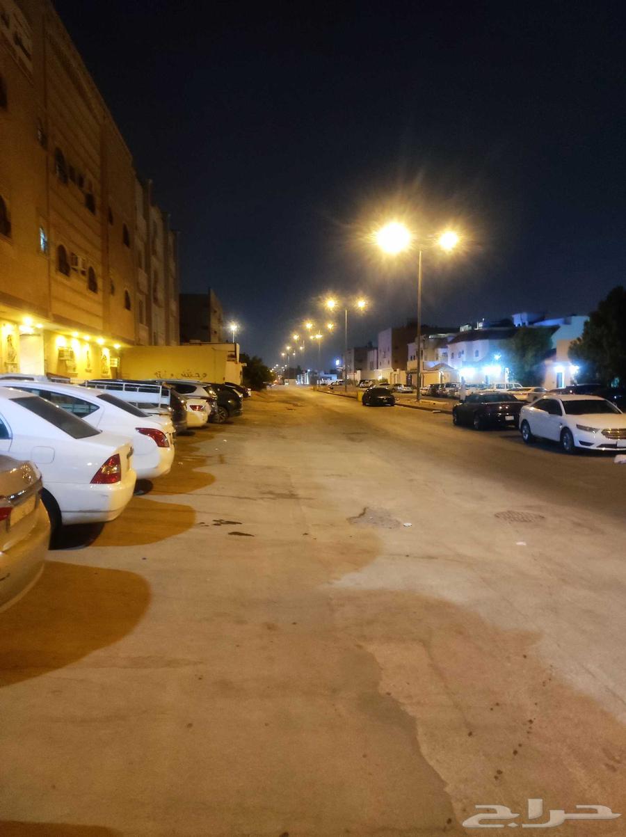 للتقبيل محل بالشفا63328604639617111