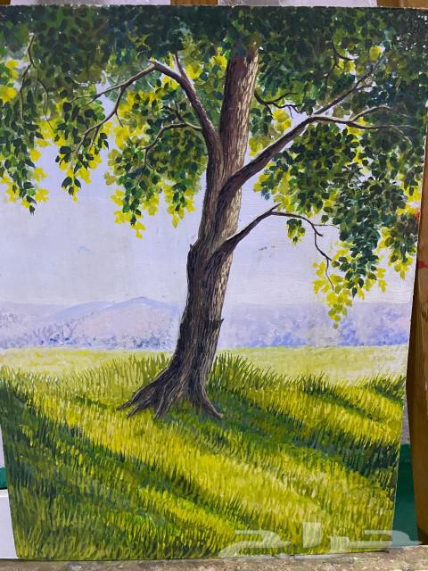 لوحات رسم ابداعية للبيع63328001299201113