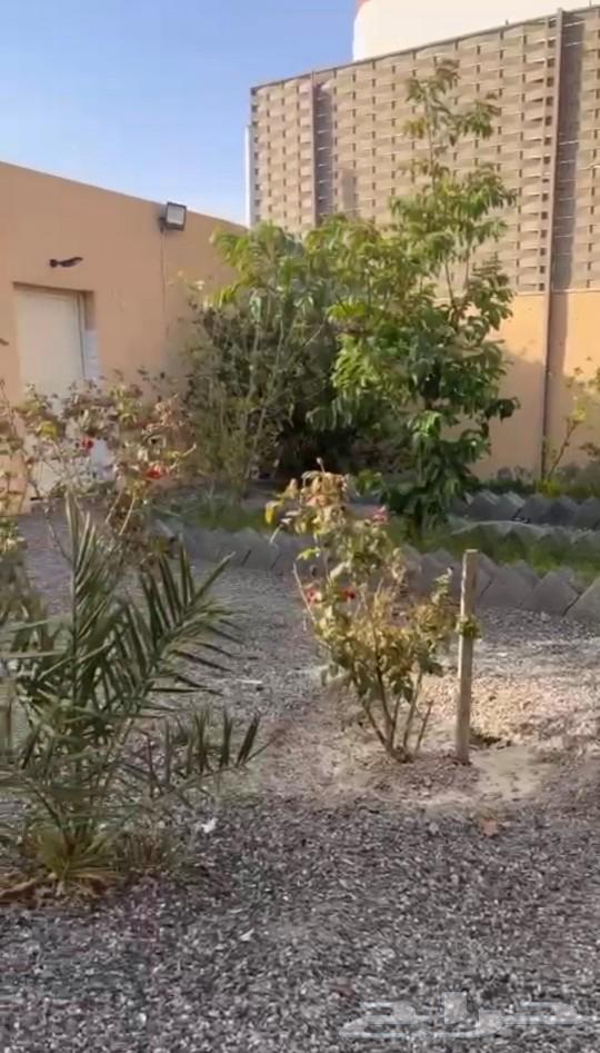 استراحة وبيت للبيع بالعقيق بالباحة62995400115458111