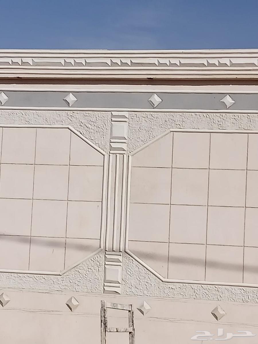 ليسه ملون اسود63005130709378111