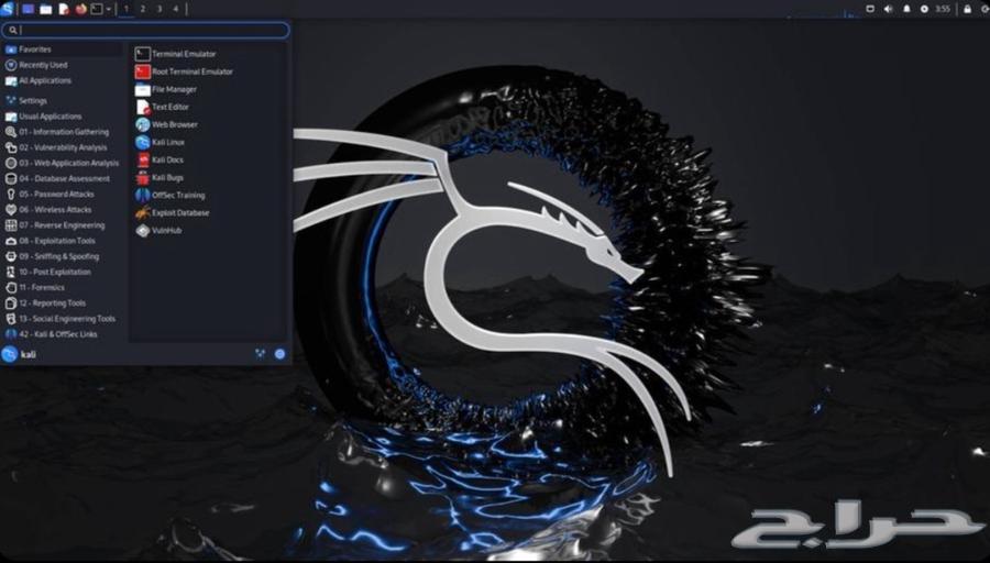 Installing Kali Linux63699528799233110
