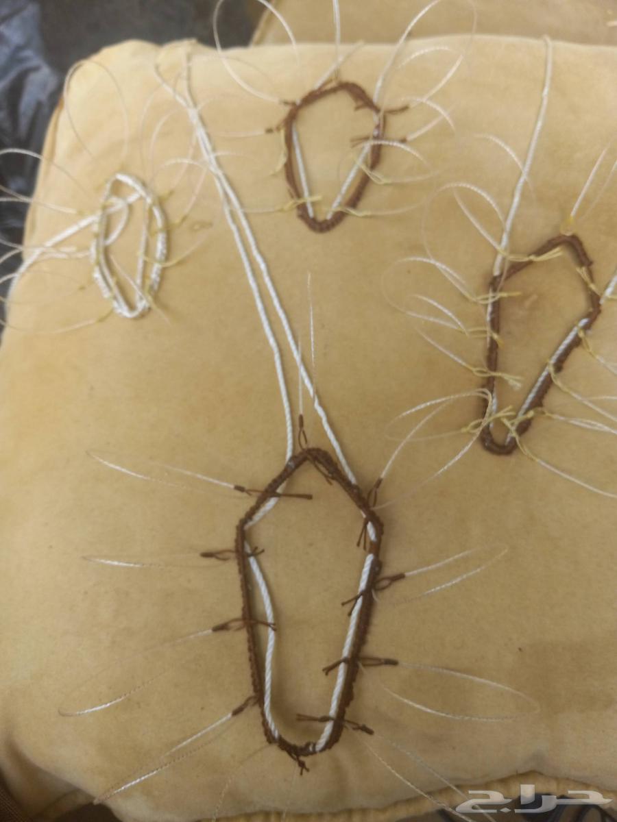 Hawk Trapping Nets63699429711362112