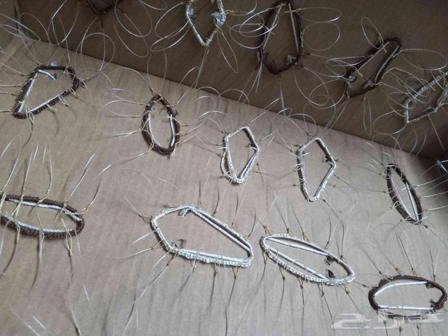 Hawk Trapping Nets63699429711362111