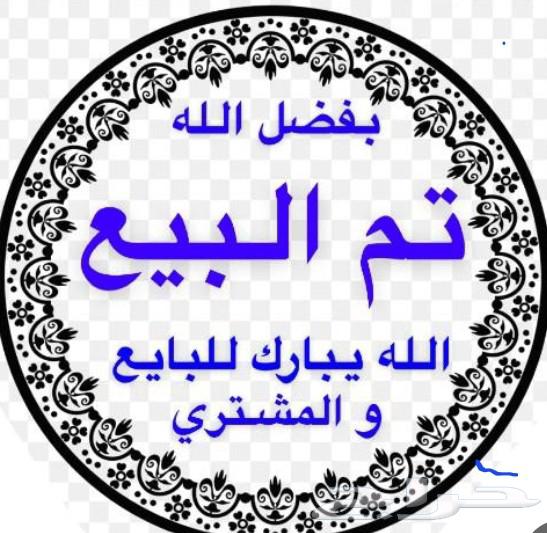 فرخ روز اليففف تم البيع63396471976449114