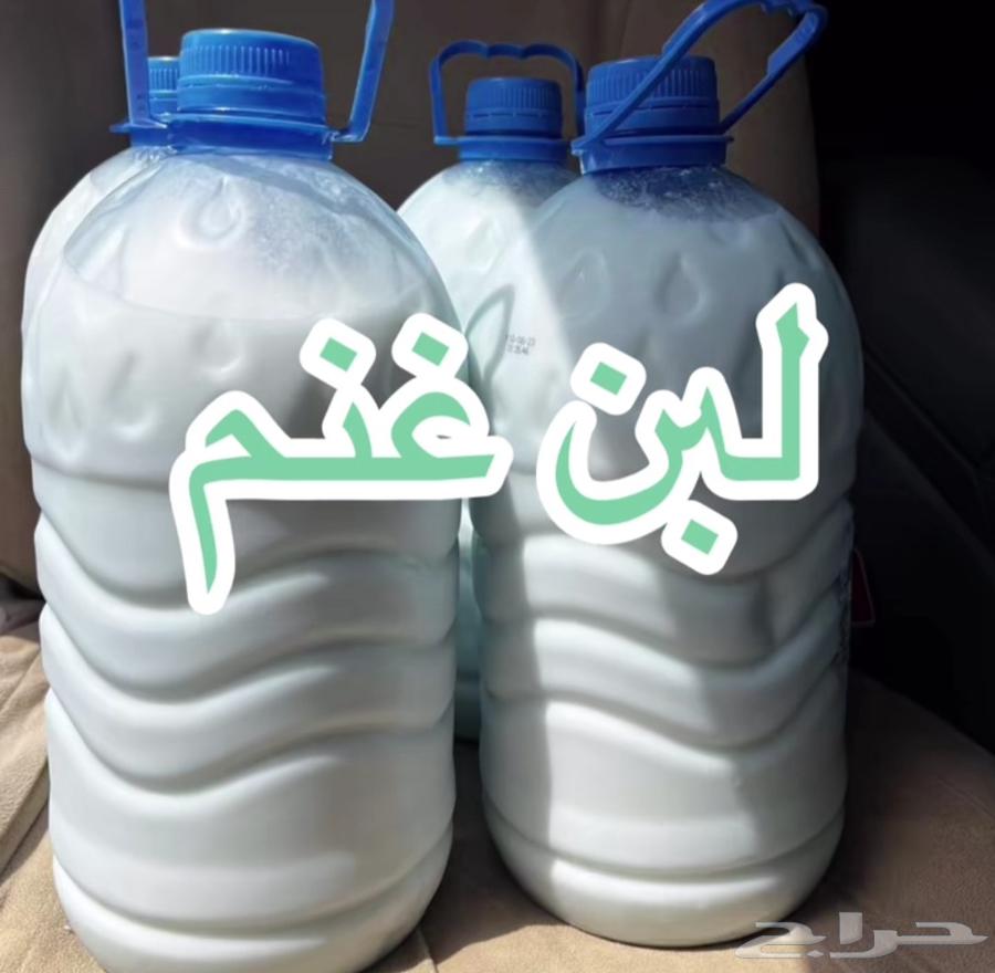 Goat milk from Al-Jarikl 5 liters 20 riyals, sheep fat 5 kg 100 riyals, and washing machine for sale63702246126721112