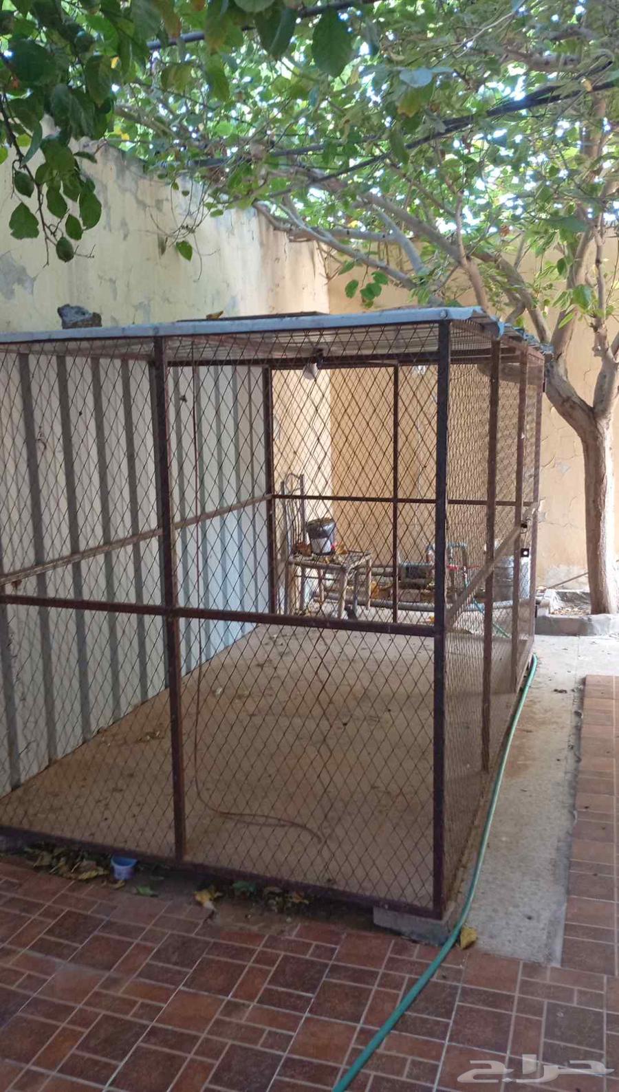 شبك حمام حديدي مقاس مترين ونص في متر ونص63699008258947110