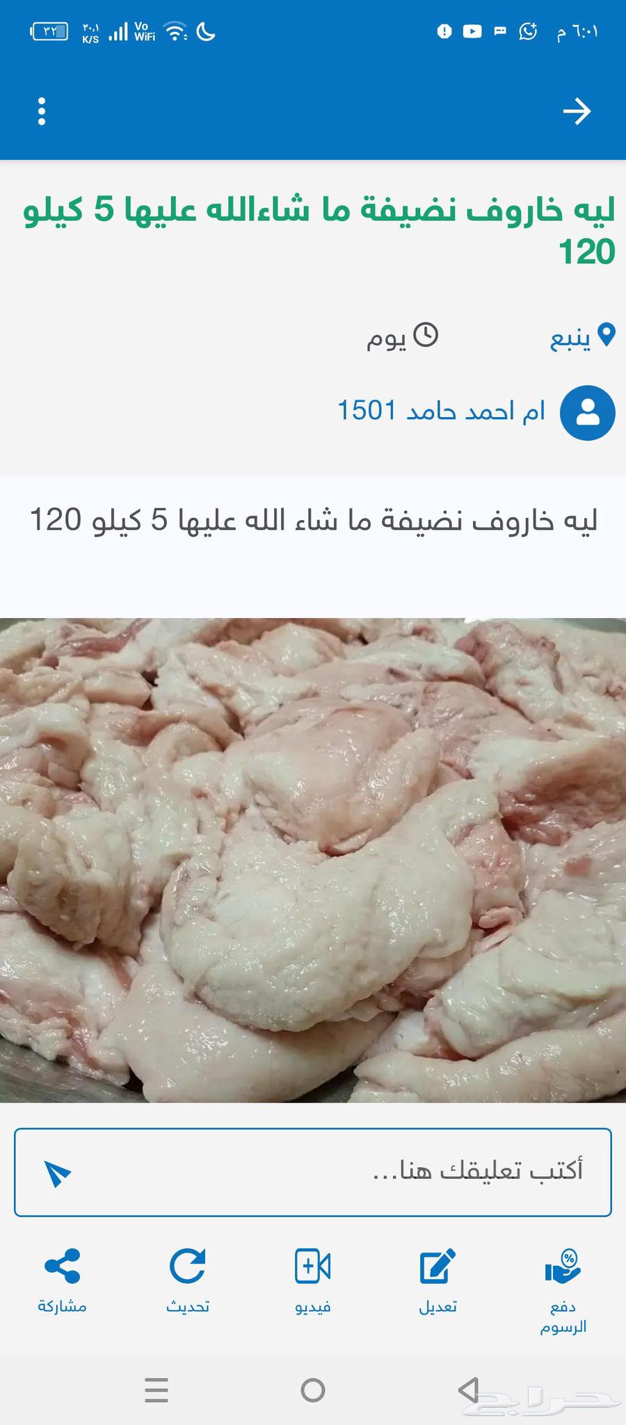 Goat milk from Al-Jarikl 5 liters 20 riyals, sheep fat 5 kg 100 riyals, and washing machine for sale63702246126721113