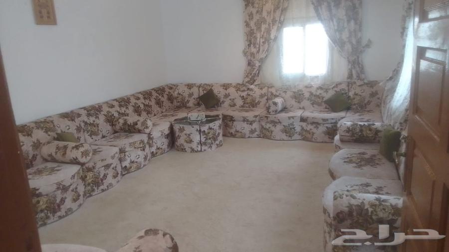 شركة تنظيف منازل فلل شقق غسيل خزانات مجالس كنب سجاد63612715153027111