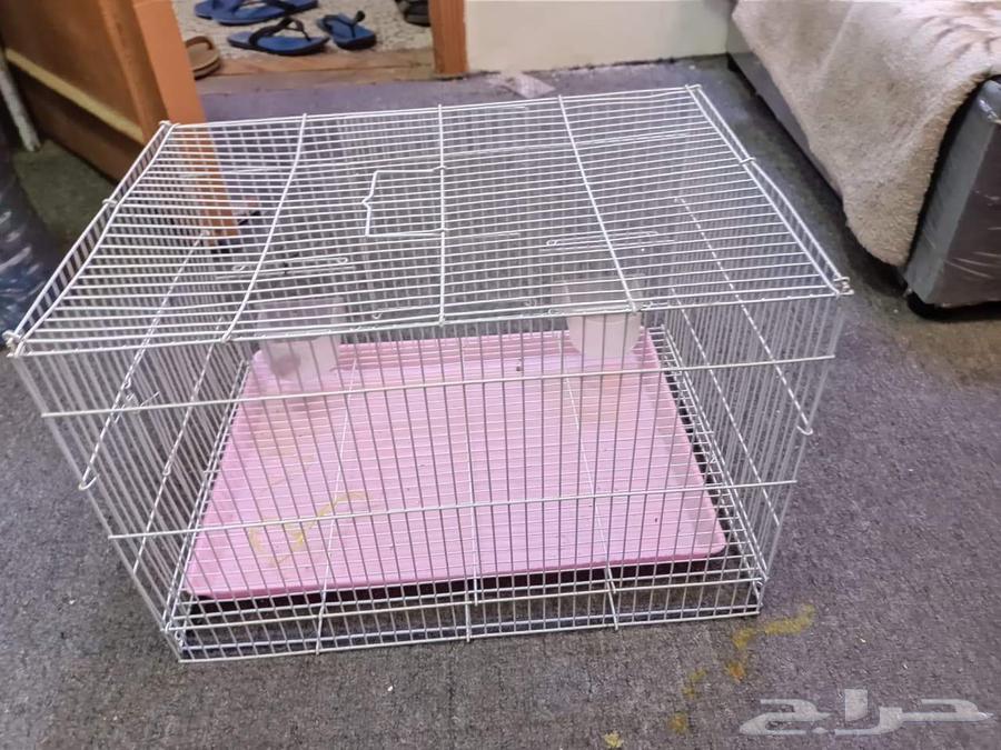 A very clean large parrot cage63699997776641113