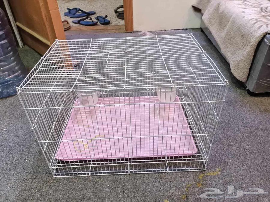 A very clean large parrot cage63699997776641112