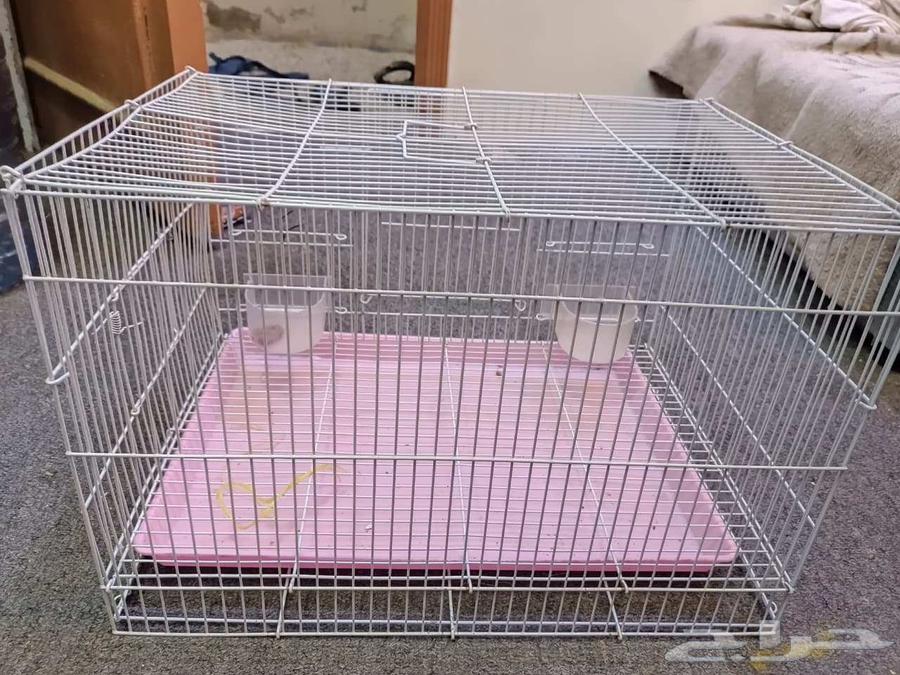 A very clean large parrot cage63699997776641110