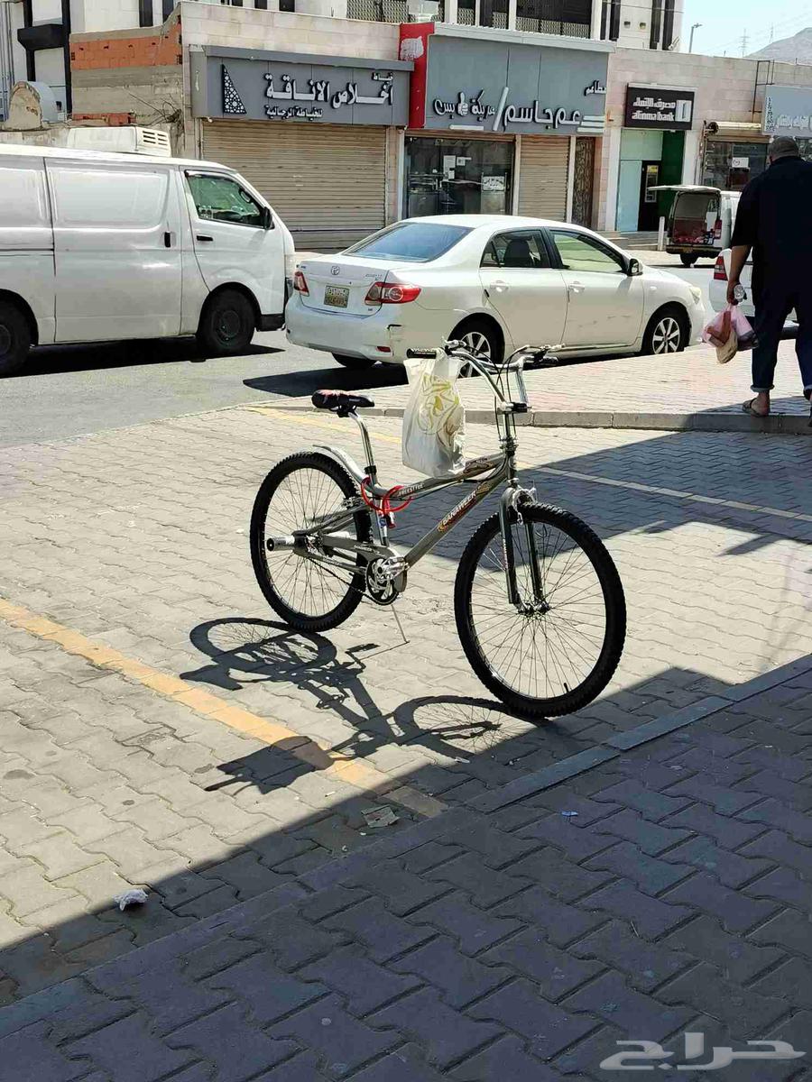 دراجة كوبرا مقاس 2663699631747457113