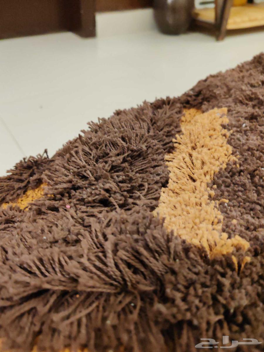 Carpet.. Masculine. Carpet63703677547777111