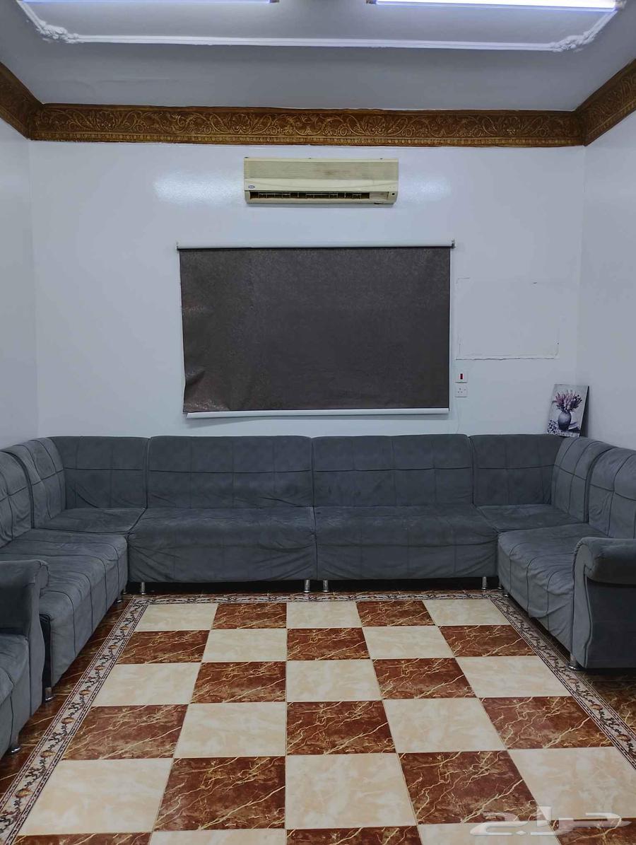 Sofa for sale with guest cushions, cute63702970370434110
