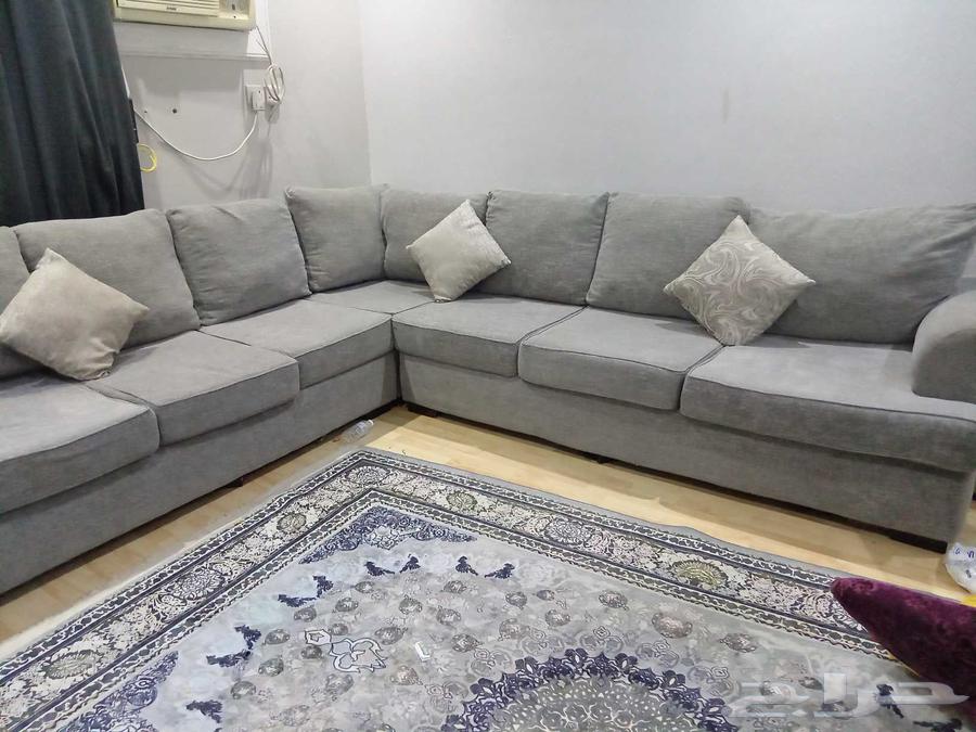 كنب L استخدام نظيف63699533359875110