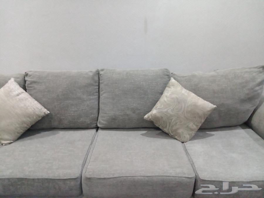 كنب L استخدام نظيف63699533359875111