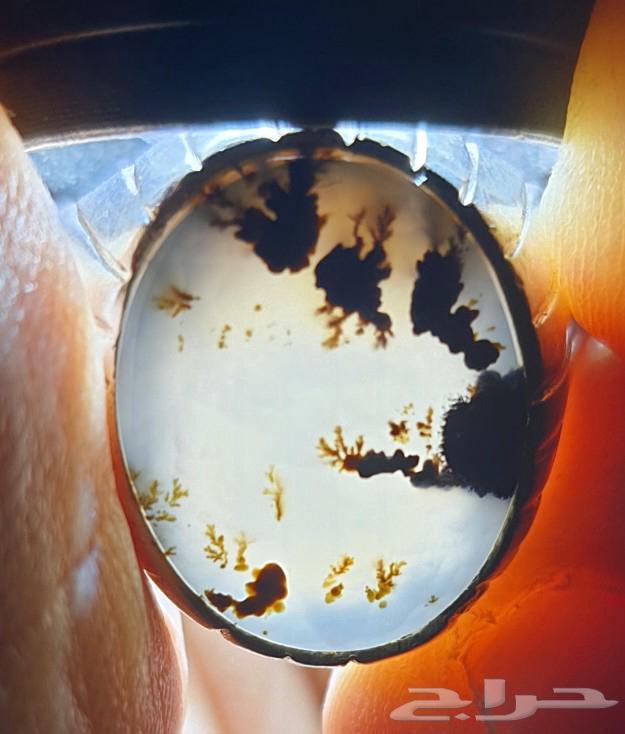 Agate Ring with Tree Carving63699623854593114