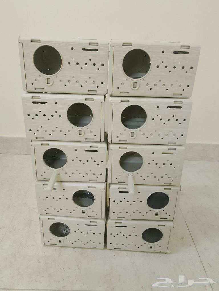 10حضانات طيور البادجي بلاستيك جديدة سهلة الاستخدام والتظيف63699724082947112