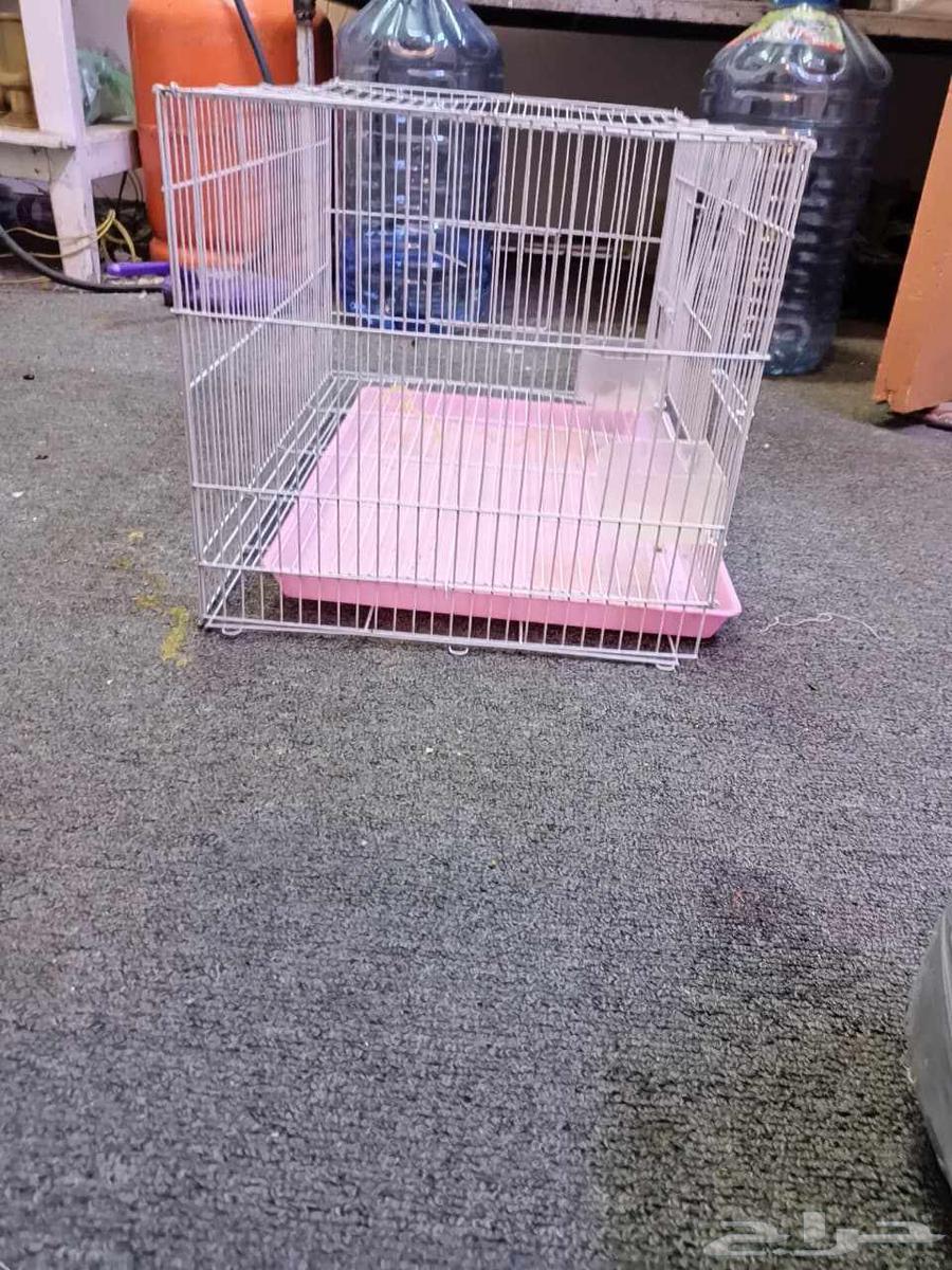 A very clean large parrot cage63699997776641111