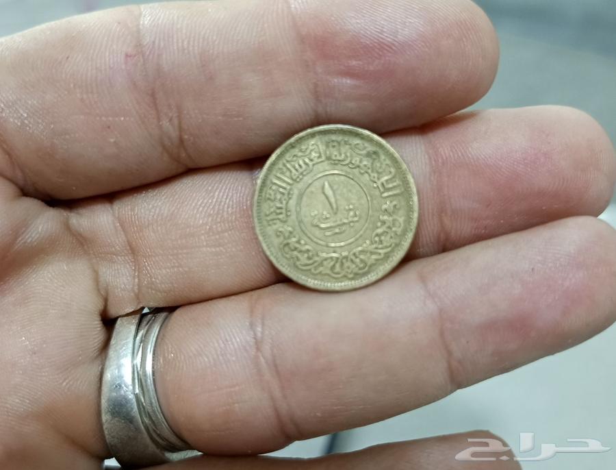 عملات قديمة جدا  للبيع عملة السعودية واليمن وسوريا والملكة63707118435203113