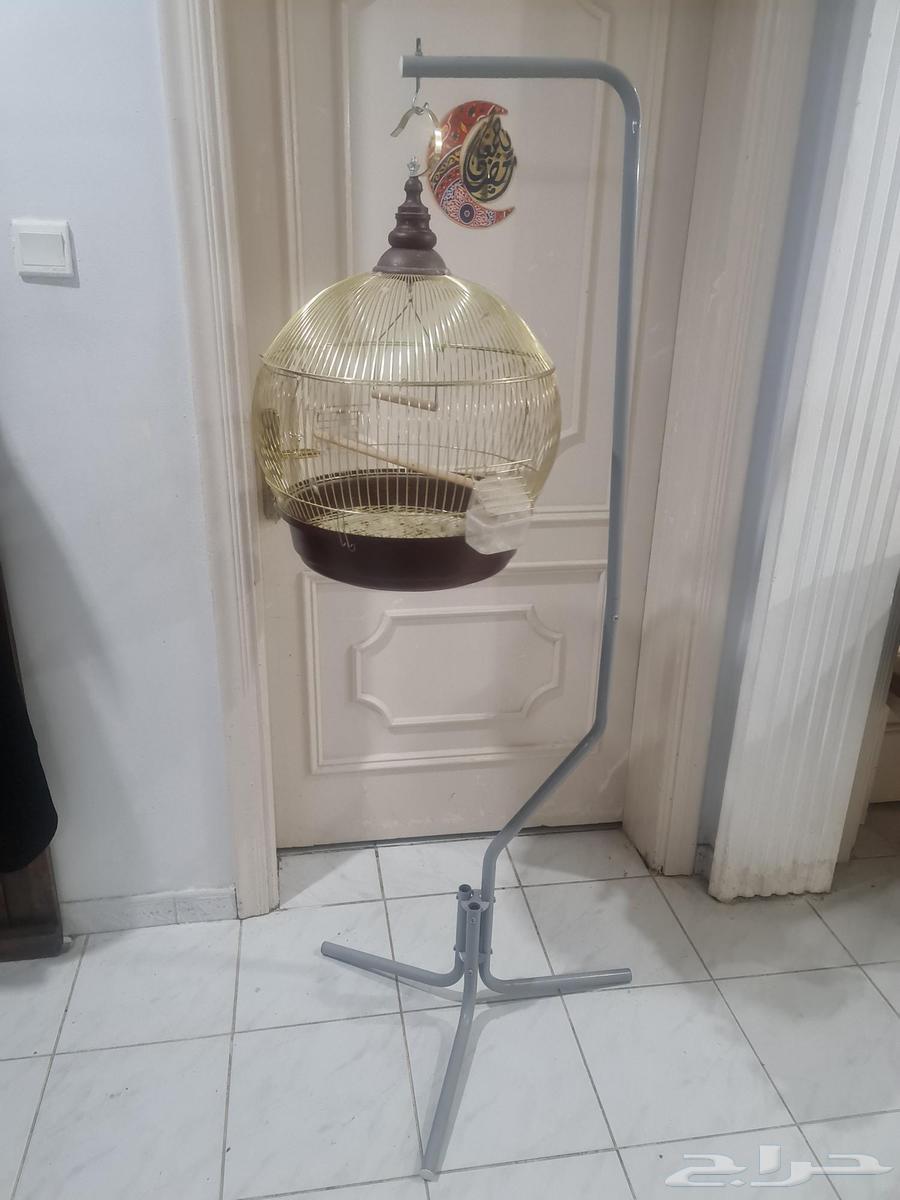 قفص طير كبير مع علاقة أو حاملة قفص63709748179969110