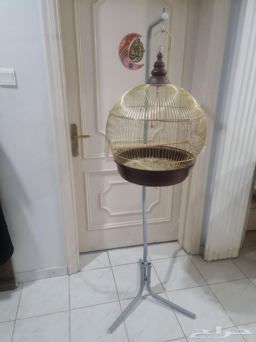 قفص طير كبير مع علاقة أو حاملة قفص63709748179969111