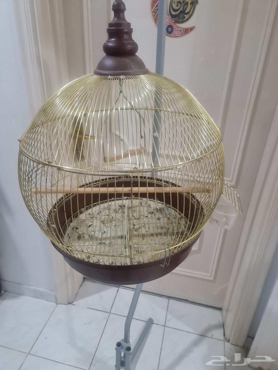 قفص طير كبير مع علاقة أو حاملة قفص63709748179969112