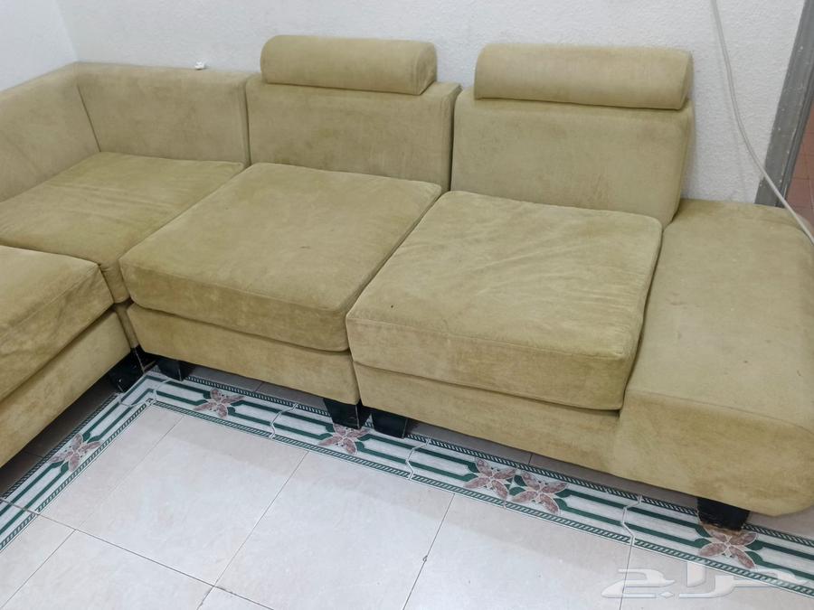 كنب نضيف جدا 4 متر في 2 للبيع المستعجل 100يال فقط63699428952706114
