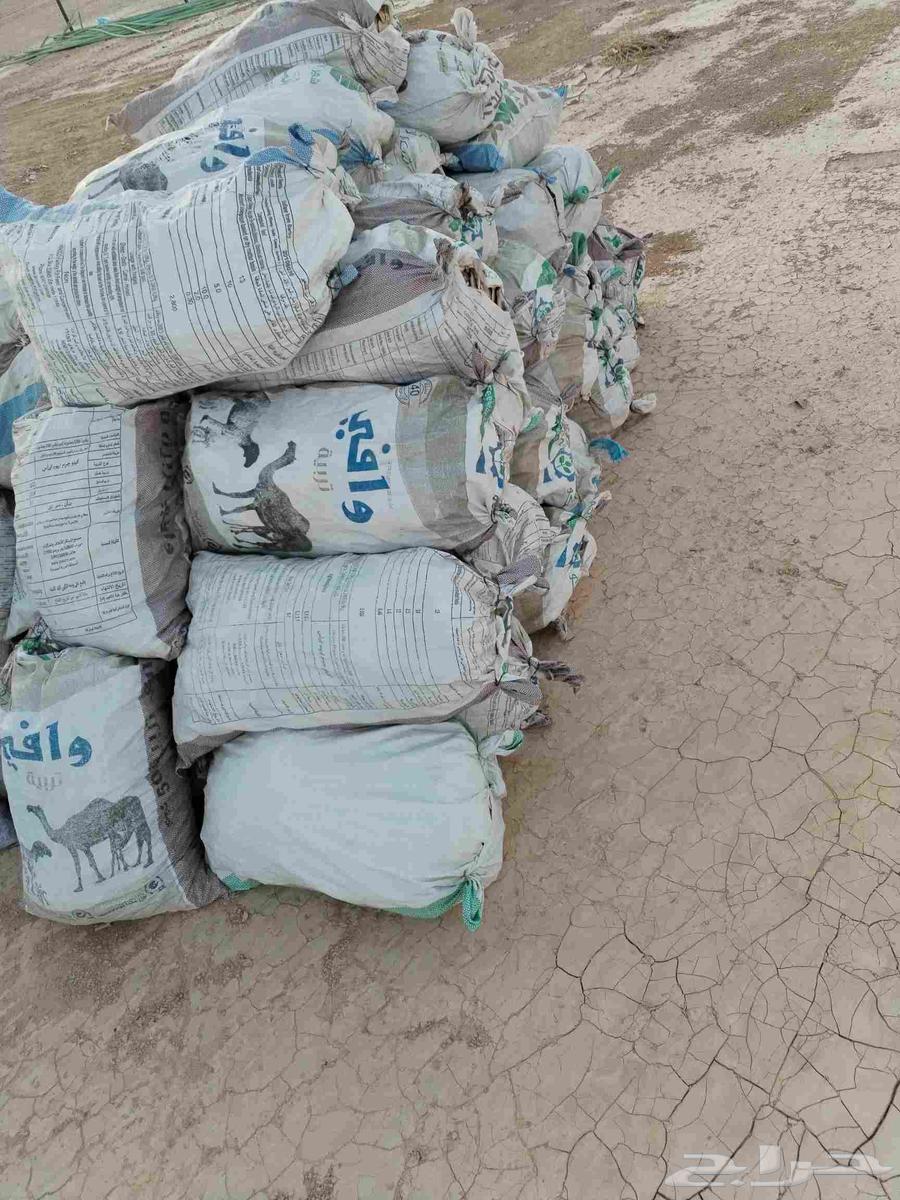 خبز ناشف للحلال63710406487554111