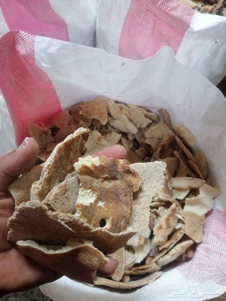 خبز ناشف للبيع63713575440514111