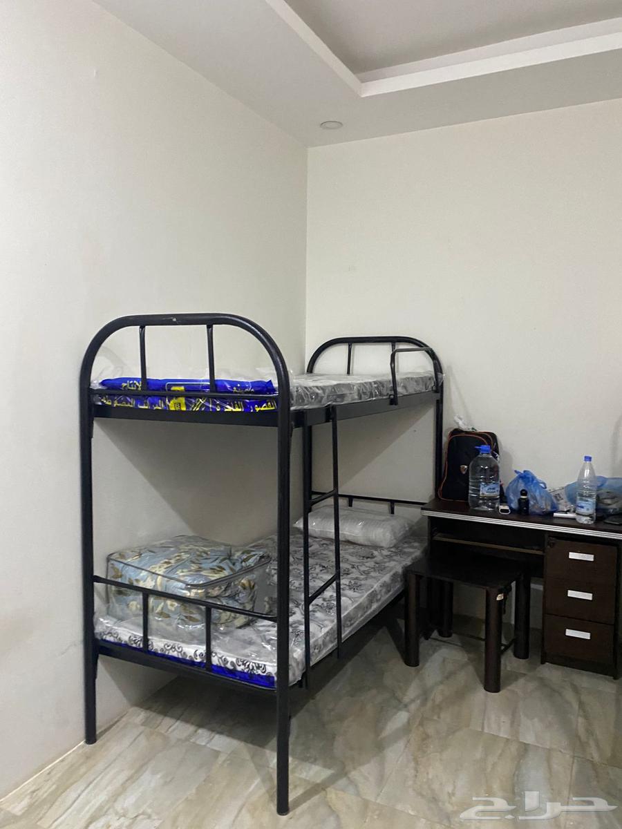 تجهيز سكن اعمال سرير حديد دورين و دور واحد جديد63724299236483112
