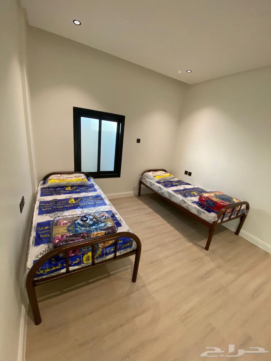 تجهيز سكن اعمال سرير حديد دورين و دور واحد جديد63724299236483113