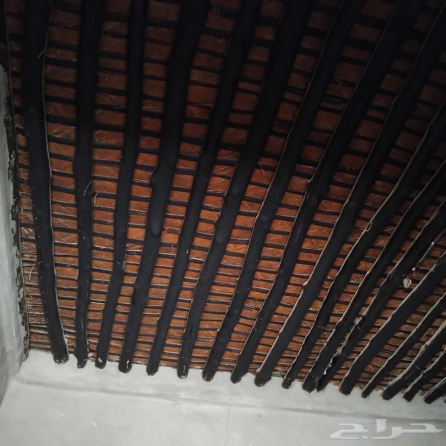 دنجل هندي آخر فخامة63725997010819113