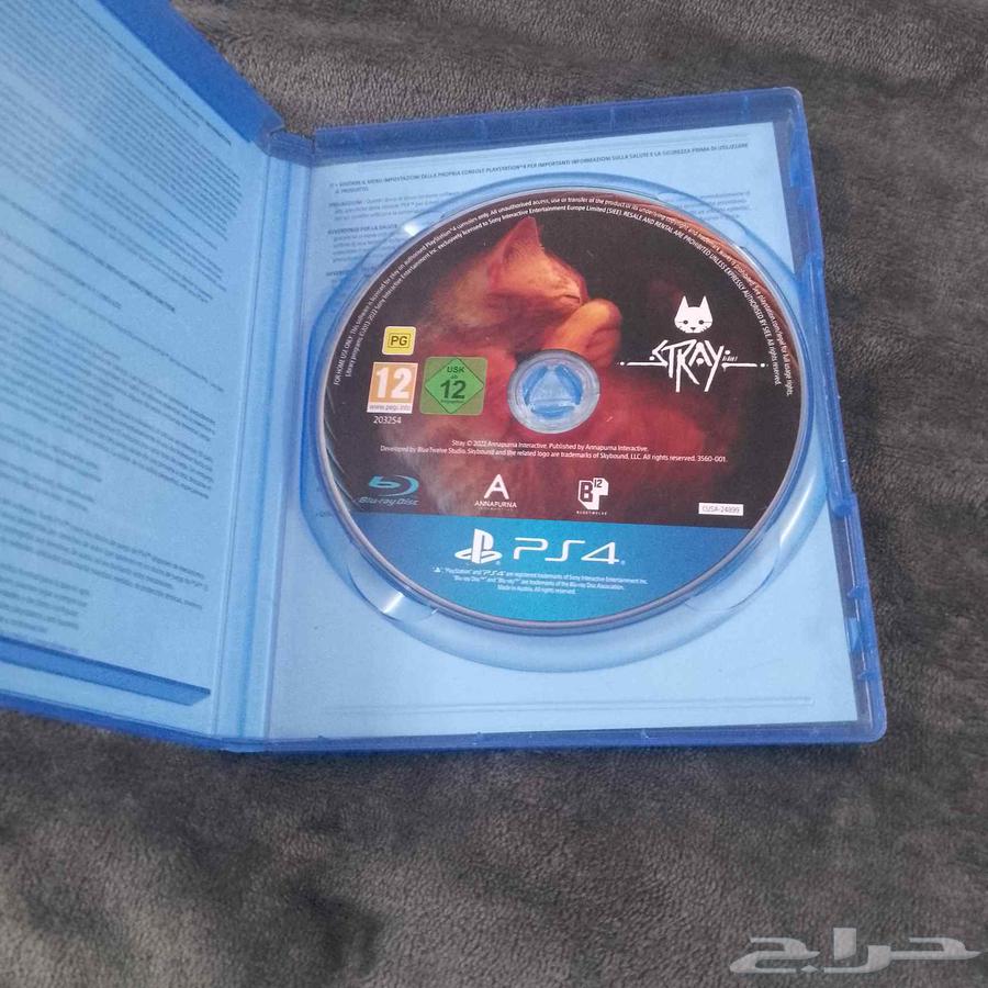 جديد ونظيف ما في ولا شامخ63718640013825111