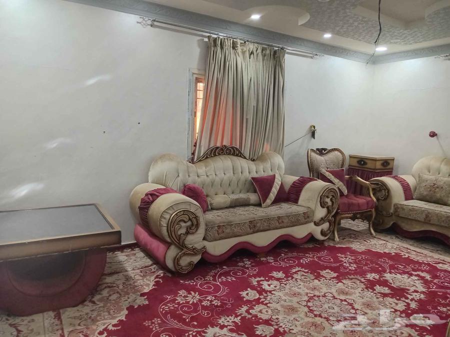 5-piece sofa set with table, carpet, and two new curtains, large carpet63720306600834111