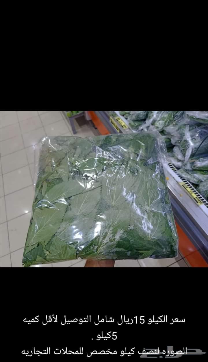 ملوخية جزانية مقطوفة بدون عواد سعر الكيلوة 1363720393363713111