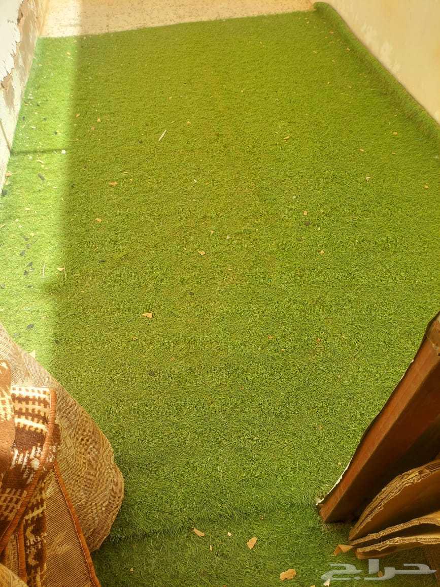 Artificial grass two pieces in good condition for 7063723172646787110