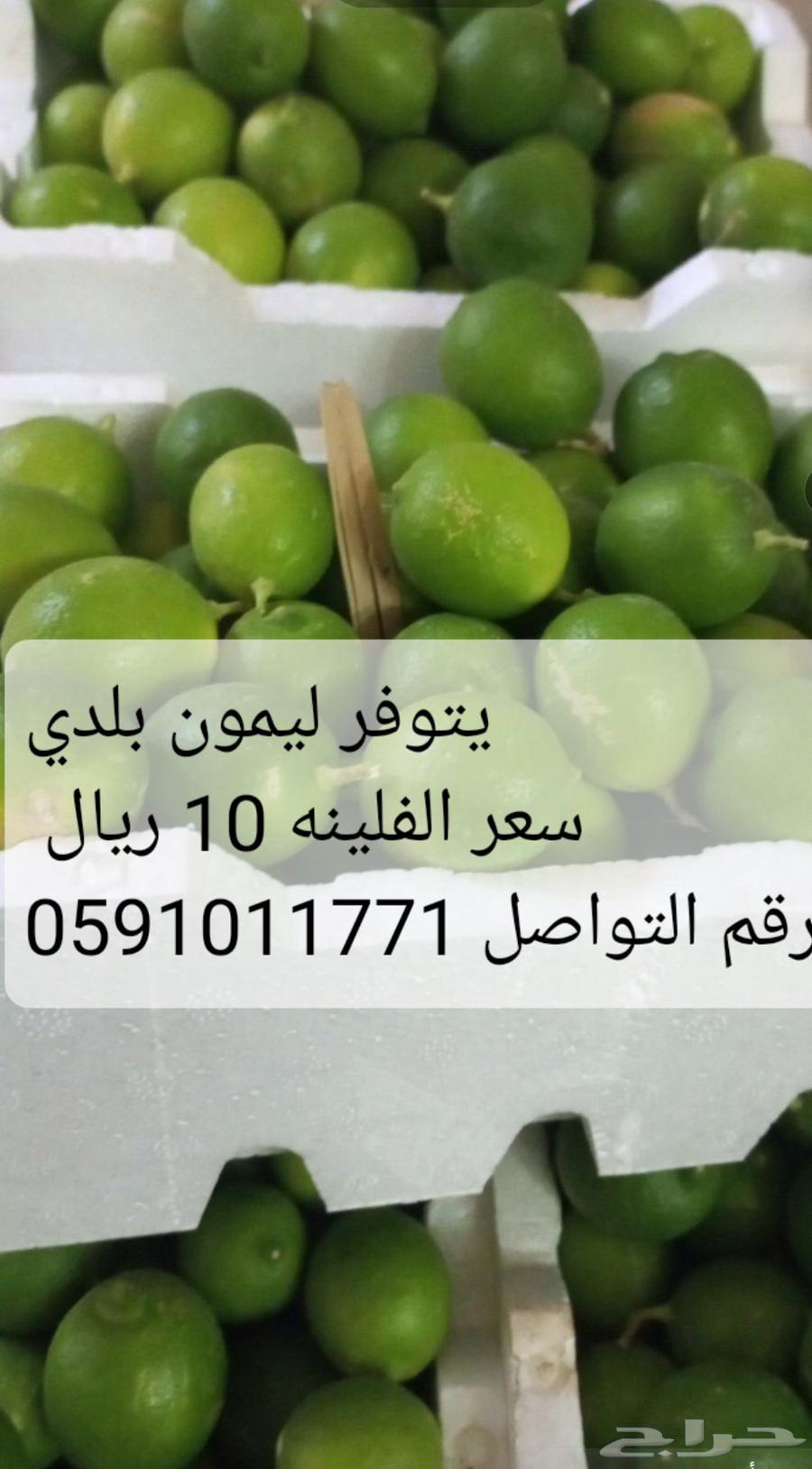 يتوفر ليمون بلدي سعر الفلينه 10ريال رقم التواصل63726916426497110