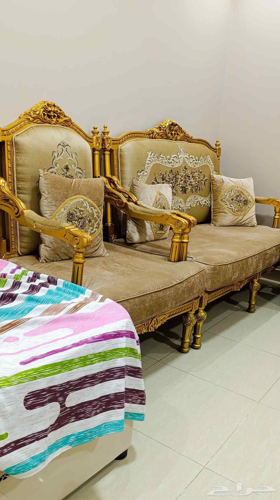 6كنبات جلوس 1كبيره واثنين صغار وثلاثه حجم وسط مطلوب فيهم 45063737432509313111