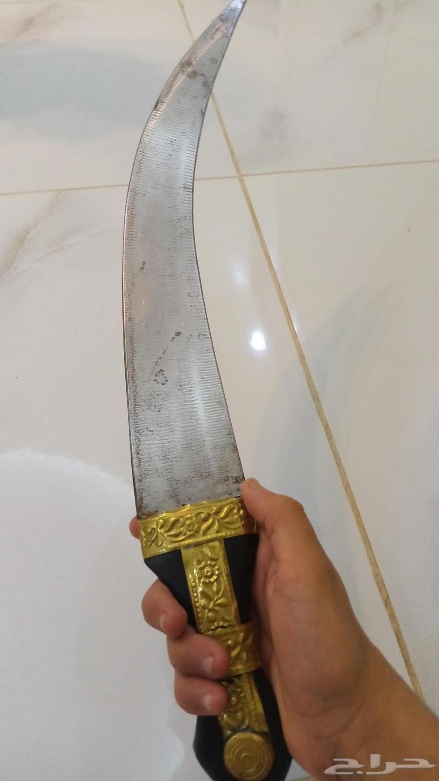 Saif63667686463489111