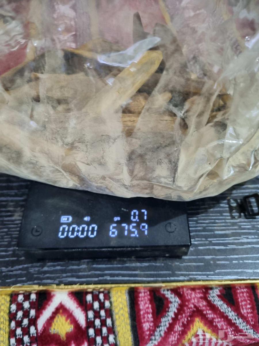 عود موروكي طبيعي محسن 600 جرام فل دهن يوجد فيديو63733211330562110